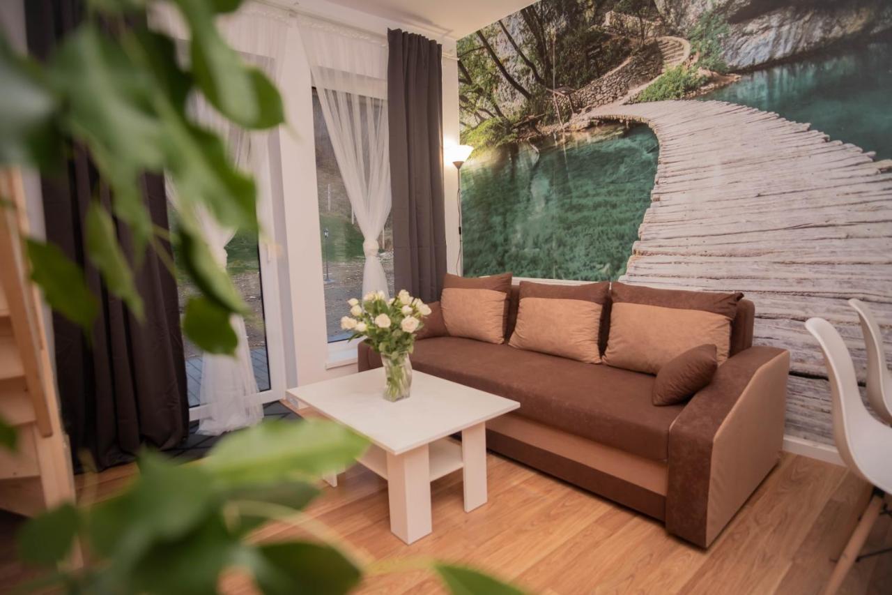 Apartamenty Goszowita Stronie Śląskie Esterno foto